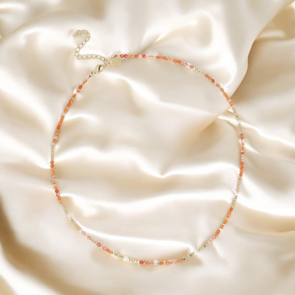 Collier en Acier Inoxydable et agate rouge - BIANCA
